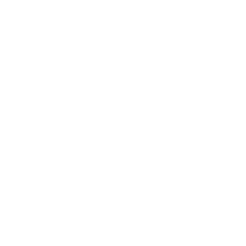 advantage-plus-logo